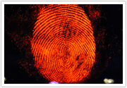 X-Loupe MG-P4 双光源 指纹照相机 (紫外光) 拍摄已蘸荧光指纹粉的指纹痕迹
